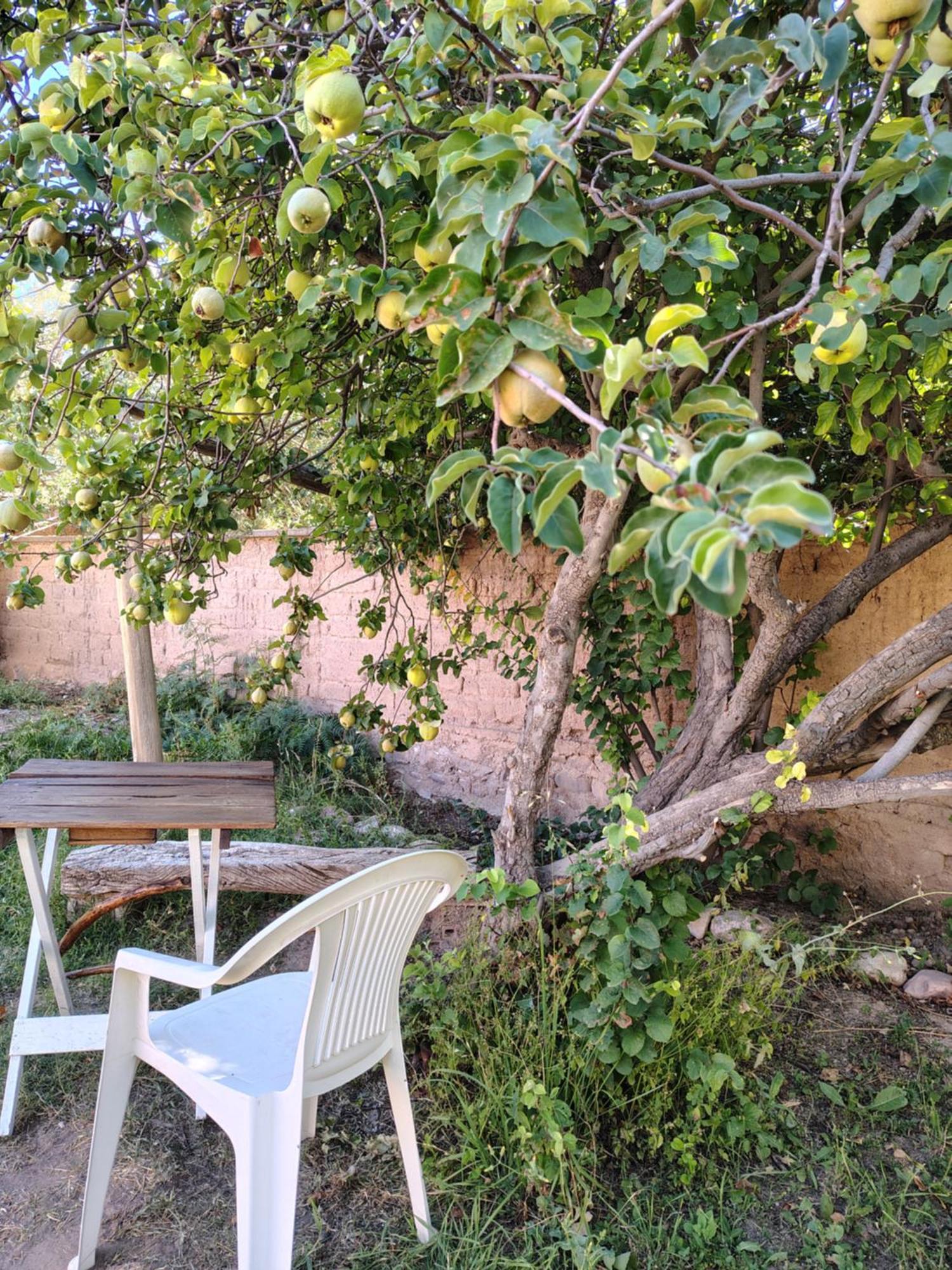 Inti Sayana Humahuaca Exterior foto